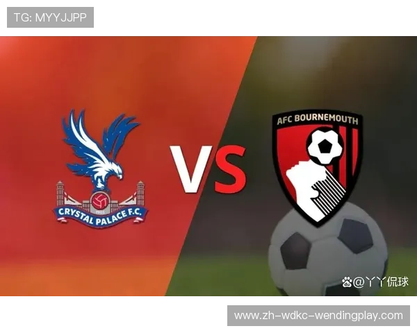 水晶宫作为英超球队的现状及未来发展趋势