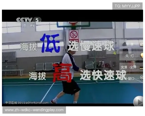 羽毛球球速划分