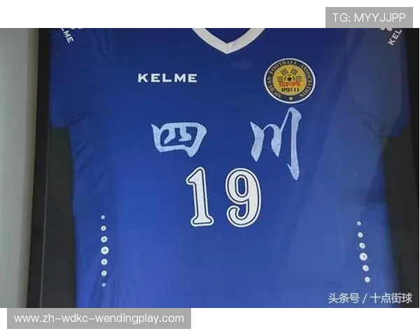 足球退役安置体系是否能有效保障运动员的生计延续